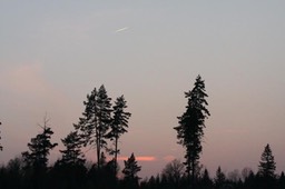 Aftenstemning 2