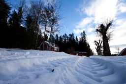 Vinterstemning